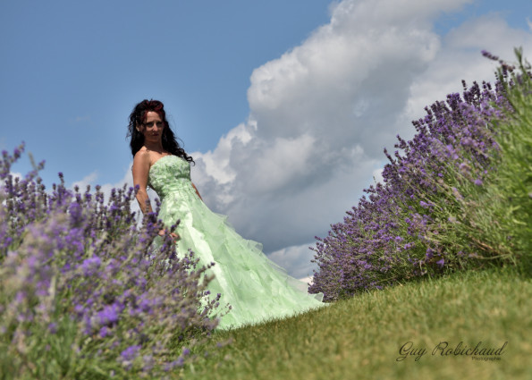 DSC_1901-1280-s