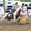DSC_4628-1024-s