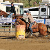 DSC_5733-1024-s