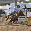 DSC_4590-1024-s