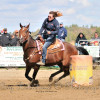 DSC_5083-1024-s