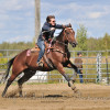 DSC_5081-1024-s