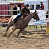 DSC_4576-1024-s