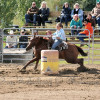 DSC_4766-1024-s