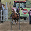 DSC_5102-1024-s