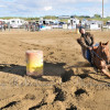 DSC_5715-1024-s