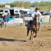 DSC_5690-1024-s