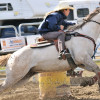 DSC_4619-1024-s