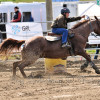 DSC_4578-1024-s