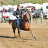DSC_5704-1024-s