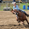 DSC_4756-1024-s