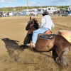 DSC_5694-1024-s