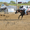 DSC_5703-1024-s