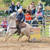 DSC_4621-1024-s
