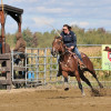 DSC_5078-1024-s