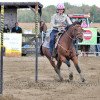 DSC_5113-1024-s