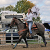 DSC_5037-1024-s
