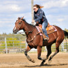 DSC_5085-1024-s