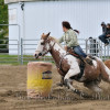 DSC_4629-1024-s
