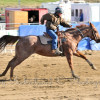 DSC_5718-1024-s