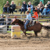 DSC_4765-1024-s