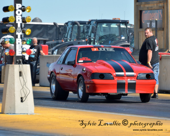 DSC_2672-1280-s-800
