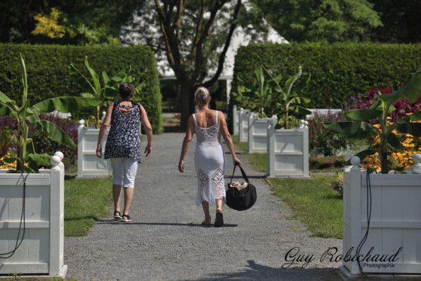 DSC_0804-1280-s