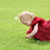 DSC_5996-1024