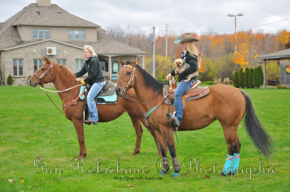 dsc_6550-1024-s