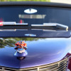 DSC_0727-1280-s