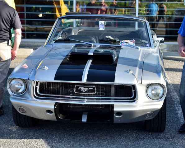 DSC_0619-1280-s