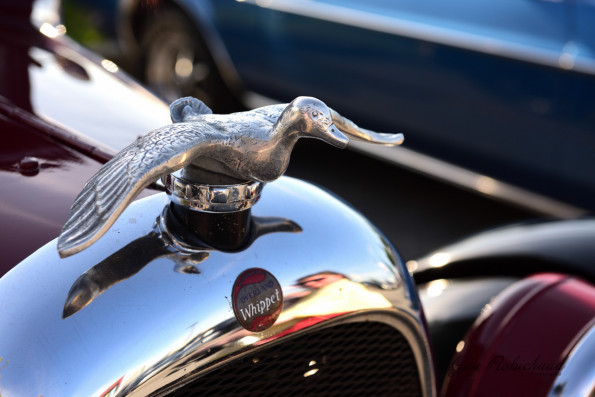 DSC_0585-1280-s