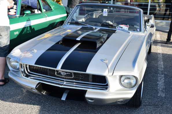 DSC_0616-1280-s