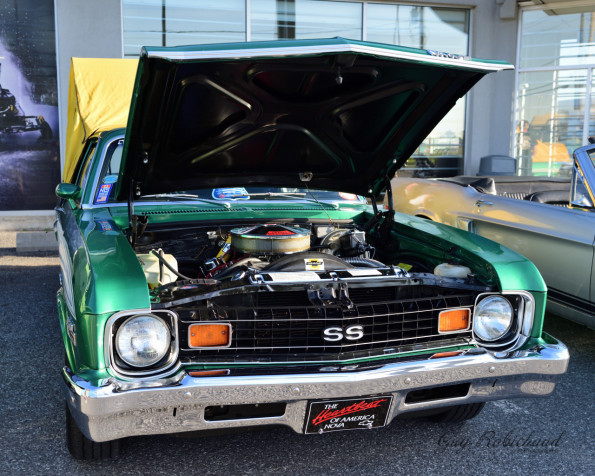 DSC_0626-1280-s