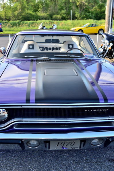 DSC_0629-1280-s