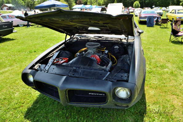 DSC_1234-1280-s