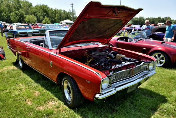 DSC_1319-1280-s