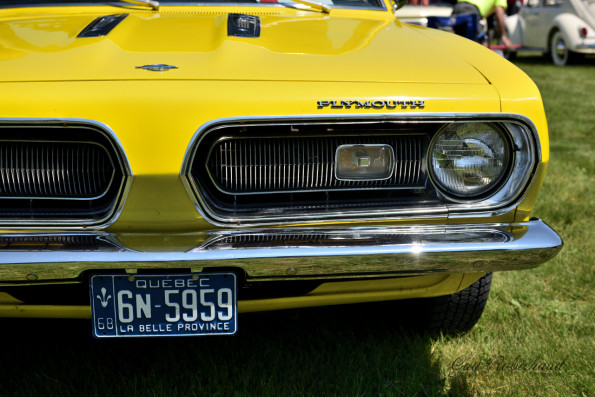 DSC_1122-1280-s