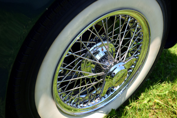DSC_1288-1280-s
