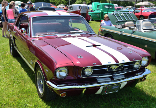 DSC_1240-1280-s