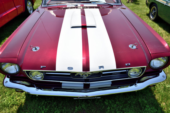 DSC_1242-1280-s