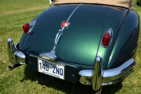 DSC_1284-1280-s
