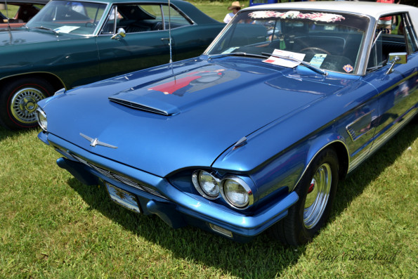 DSC_1307-1280-s