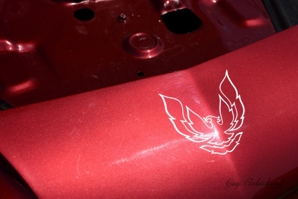 DSC_1119-1280-s