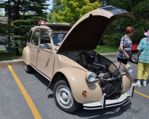 DSC_1554-1280-s