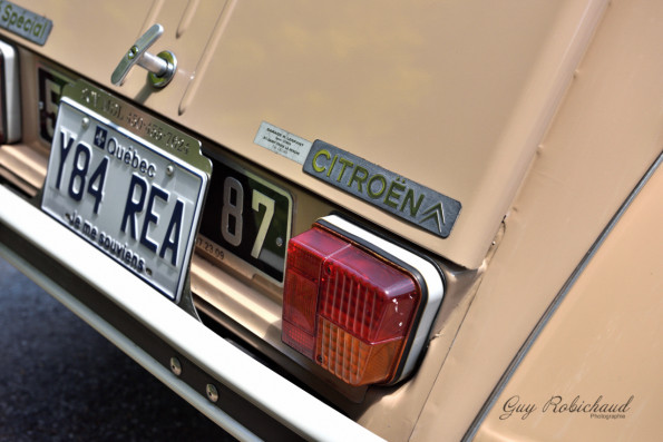 DSC_1550-1280-s