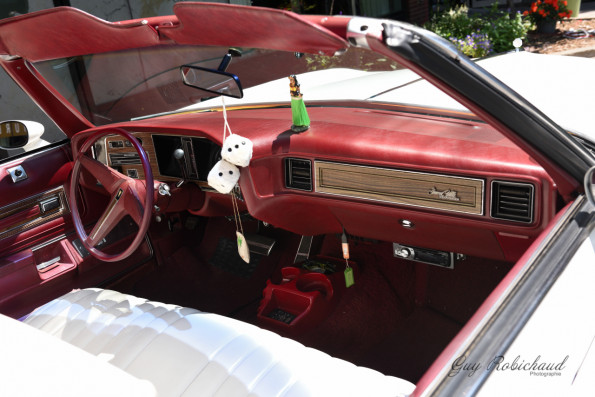 DSC_1530-1280-s