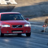 DSC_4525-1280-s