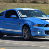DSC_2900-1280-s-s