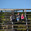 DSC_2973-1280-s-s